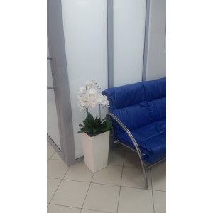Композиция Орхидея