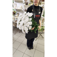 Букет из 13 Хризантем кустовых Белых