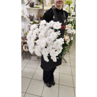 Букет из 11 Хризантем кустовых белых