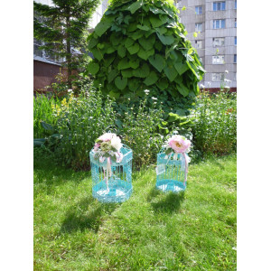Клетка бирюза