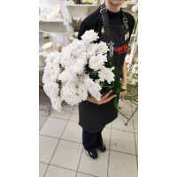 Букет их 9 Хризантем кустовых белых