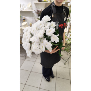 Букет их 7 Хризантем кустовых белых
