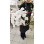 Букет их 7 Хризантем кустовых белых