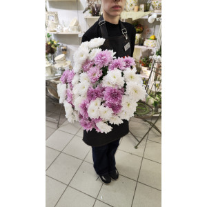 Букет из 15 Хризантем кустовых белых и желтых