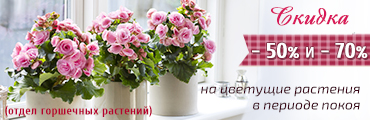 Подарочные сертификаты